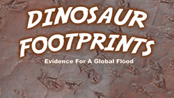 dinosaur footprints prove flood
