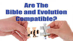 The Bible and Evolution: Not Compatible