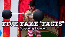 Fake Facts Supporting Evolution