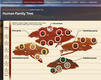 Smithsonian Human Family Tree