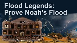 270 Flood Stories