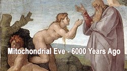 Eve was created 6000 years ago