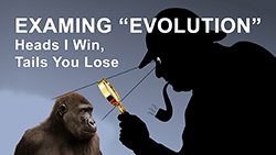 The Changing Definition of Evolution