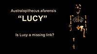 Lucy, Fake Science